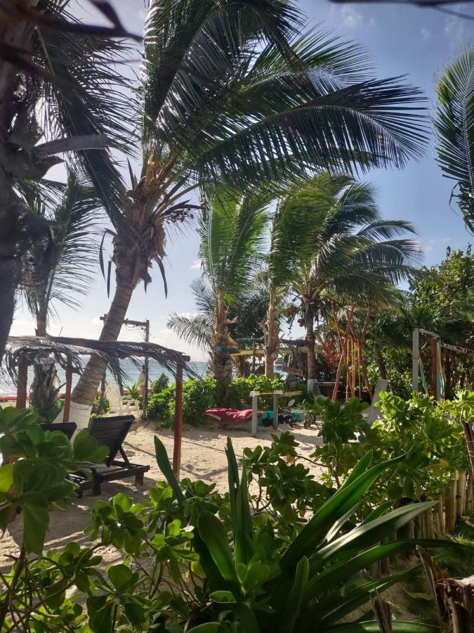 Lunazul Eco-Cabana Frente Al Mar Mahahual Eksteriør billede