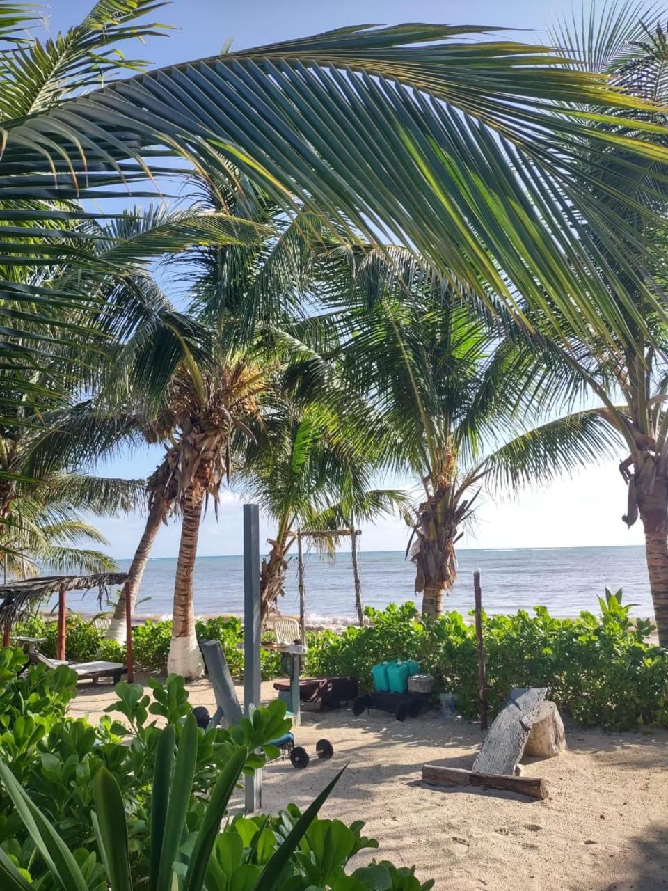 Lunazul Eco-Cabana Frente Al Mar Mahahual Eksteriør billede