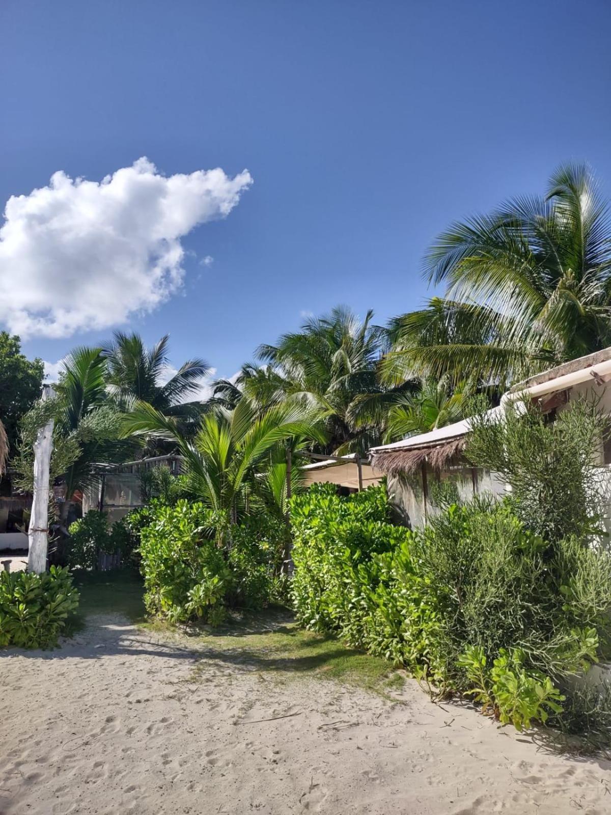 Lunazul Eco-Cabana Frente Al Mar Mahahual Eksteriør billede