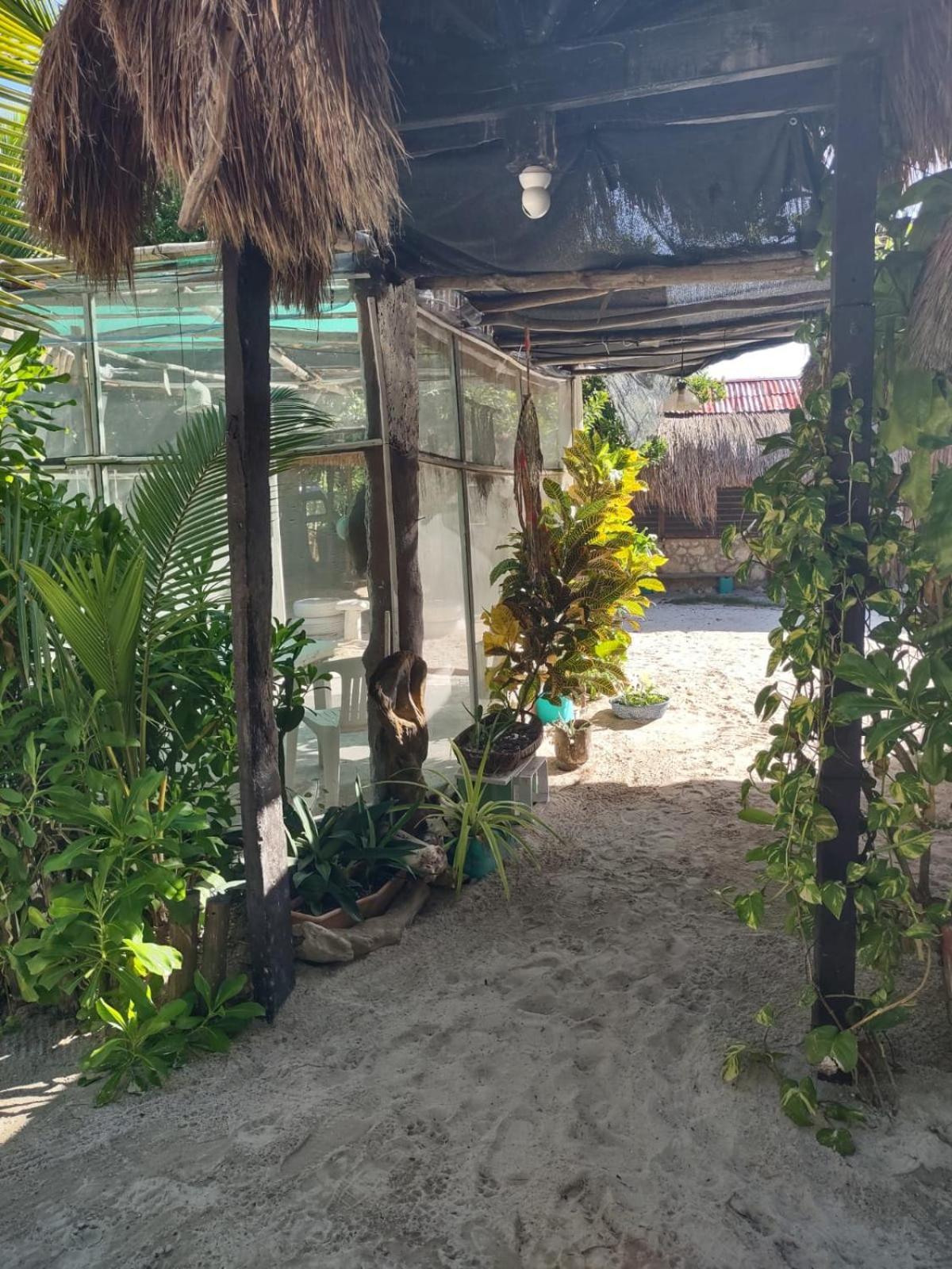 Lunazul Eco-Cabana Frente Al Mar Mahahual Eksteriør billede